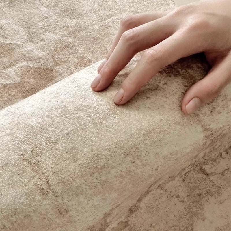 Light Luxury Rugs for Bedroom Irregular Shapes Living Room Decoration Washable Carpet Thick Plush Study Mat Home Fluffy Soft Rug